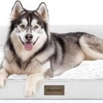 Deconovo Sofa Dog Bed with L-Shape Bolster, Supportive Eggrate Foam, PV Velvet Top, Anti-Slip Waterproof Bottom, Zippered Washable Cover, Large Dogs & XL Options, White, 36x28x8 Inches
