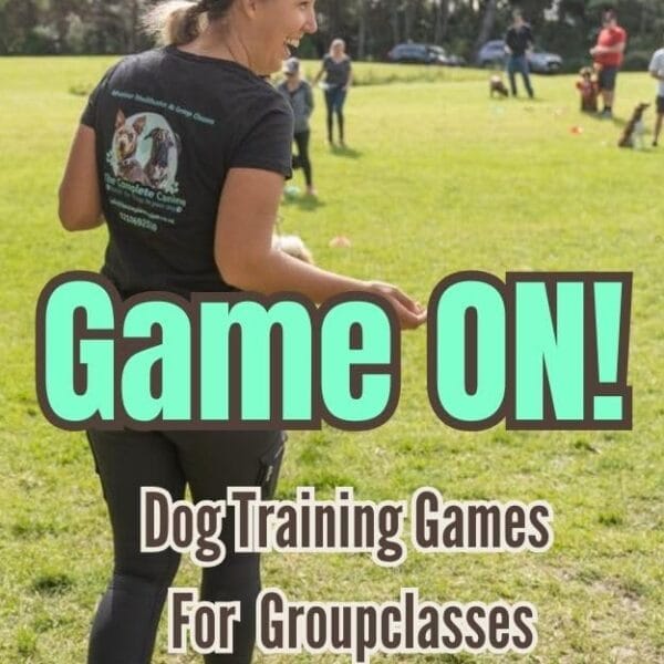 Game ON! Dog Training Games for Group Classes: Fun, Effective and Creative Dog Training Games for Group Classes, Puppy School, and Obedience Training