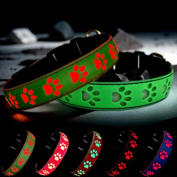LED Light Up Dog Collar, USB-C Rechargeable, Multicolor Paw Print Design, 15 Modes Lighting Night Safety (Green, XL(19.7-23.6"))