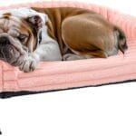 Veehoo Elevated Dog Bed with Bolster Cushion, Fluffy Plush Dog Couch Beds for Small Dogs, Cats, Washable Raised Pet Cot with Non-Slip Feet for Indoor or Patios Use, 36 x 28 Inches, Pink