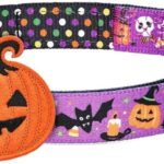 Blueberry Pet Halloween Pumpkin Party Designer Adjustable Dog Collar with Detachable Decoration, Small, Neck 12"-16"