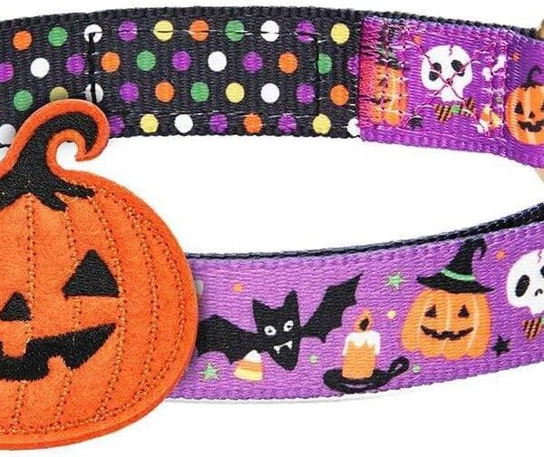 Blueberry Pet Halloween Pumpkin Party Designer Adjustable Dog Collar with Detachable Decoration, Small, Neck 12"-16"