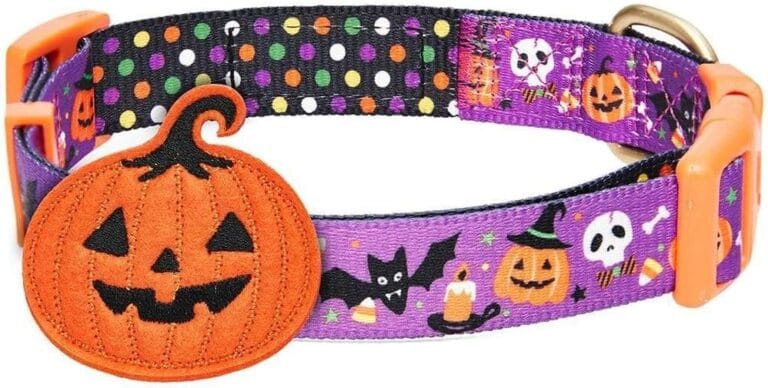 Blueberry Pet Halloween Pumpkin Party Designer Adjustable Dog Collar with Detachable Decoration, Small, Neck 12"-16"