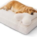 Soft Touch Faux Fur Dog Bed for Extra Large Dogs 8.5" Extra Thick, Orthopedic Pet Bed with Waterproof Liner and Washable Cover, with Removable Cute Pillow, Cream Color