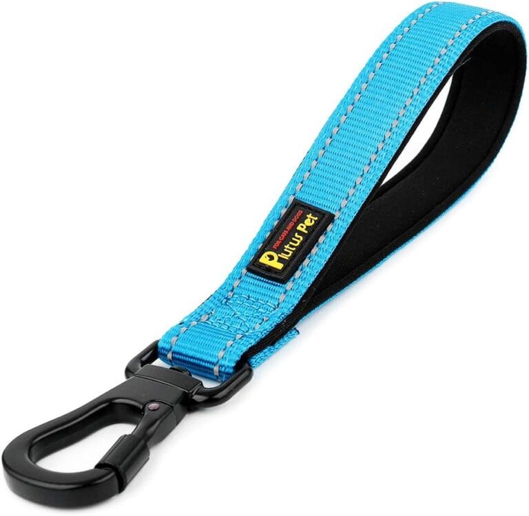 PLUTUS PET 10 Short Dog Leash, Reflective Nylon Padded Handle, Strong Traffic Leash with Carabiner Clip, Perfect for Large or Medium Dogs10Blue
