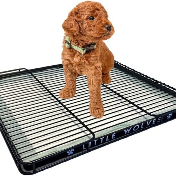 Little Wolves Puppy Potty Tray  22x22 Shred-Proof Heavy-Duty Training Tray for Puppies & Small Dogs, Easy-Clean, Indoor Dog Pee Pad Holder (Medium Gap)