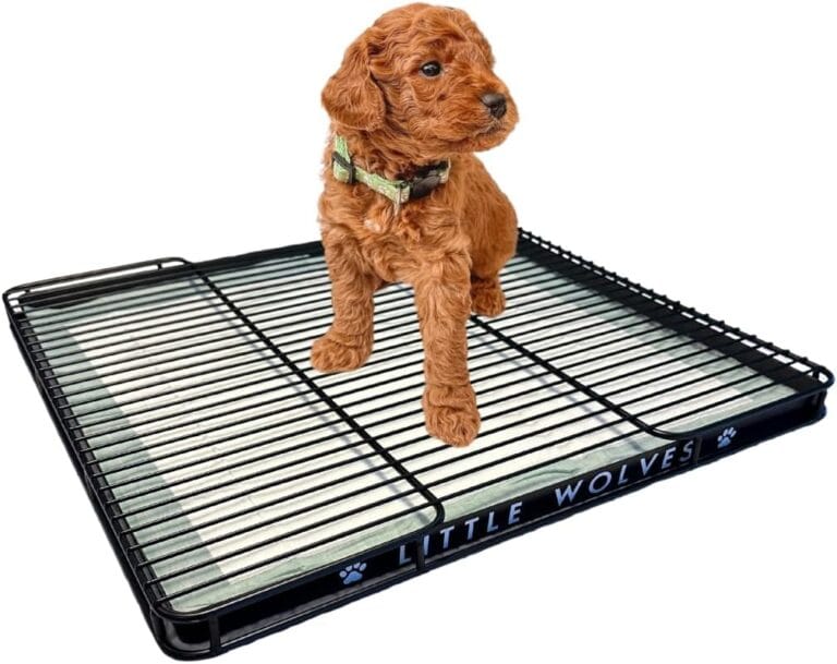 Little Wolves Puppy Potty Tray  22x22 Shred-Proof Heavy-Duty Training Tray for Puppies & Small Dogs, Easy-Clean, Indoor Dog Pee Pad Holder (Medium Gap)