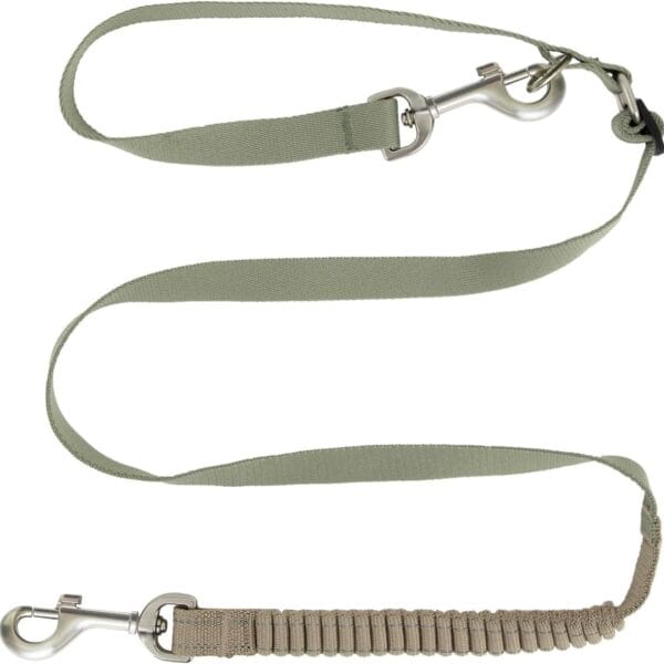 Bungee Dog Leash 4 FT Heavy Duty Dog Leash with 2 Escape Proof Hook - Shock Absorption,Reflective Walking Training Lead for Small Medium Breed Dogs (Green, 4ft)