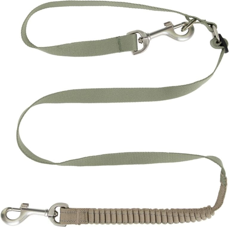 Bungee Dog Leash 4 FT Heavy Duty Dog Leash with 2 Escape Proof Hook - Shock Absorption,Reflective Walking Training Lead for Small Medium Breed Dogs (Green, 4ft)