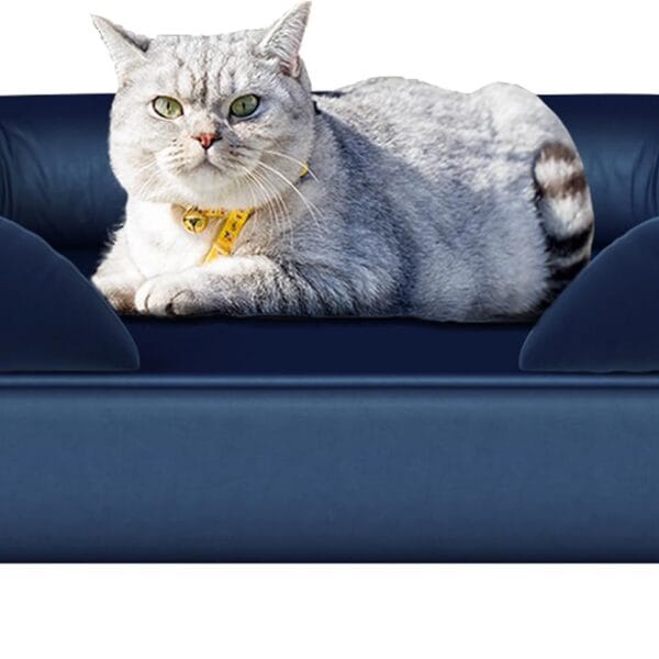 Dog Couch,Cat Sofa,Puppy Bed, Dog Chair for Small Pet,Pet Sofa, Wooden Frame and Velvet Fabric,Cat Couch for Small Cats&Dogs &Puppy Rest, Blue