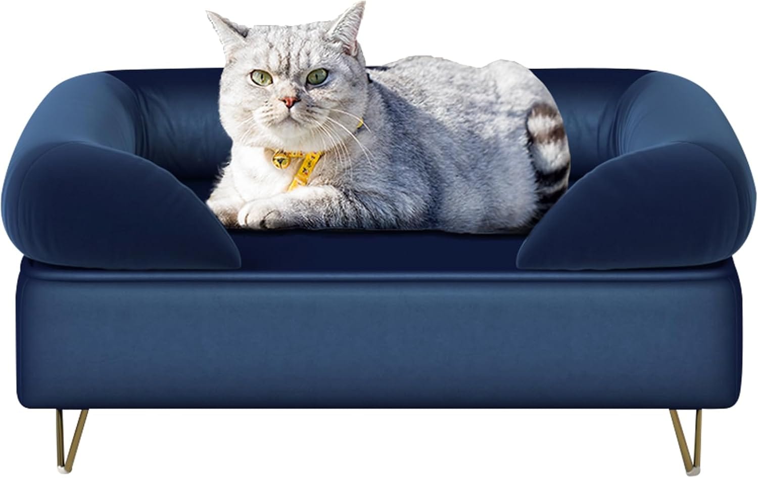 Dog Couch,Cat Sofa,Puppy Bed, Dog Chair for Small Pet,Pet Sofa, Wooden Frame and Velvet Fabric,Cat Couch for Small Cats&Dogs &Puppy Rest, Blue Dog Couch,Cat Sofa,Puppy Bed, Dog Chair for Small Pet,Pet Sofa, Wooden Frame and Velvet Fabric,Cat Couch for Small Cats&Dogs &Puppy Rest, Blue