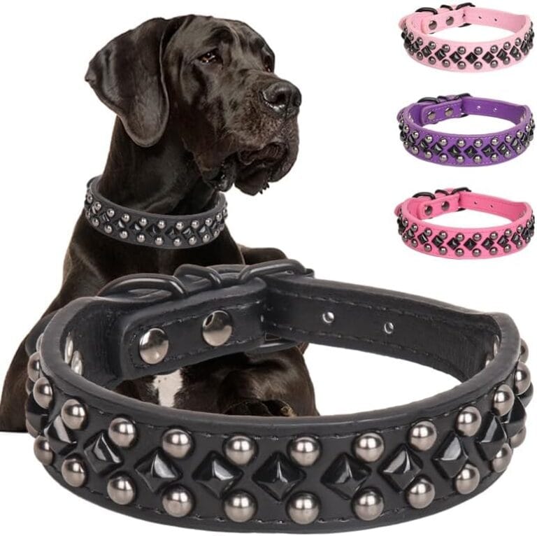 Studded PU Leather Dog Collars for Small, Medium, Large Dogs, Pitbull, Mastiff, Labrador, Boxer, Rottweiler, German Shepherd (Black, XL)