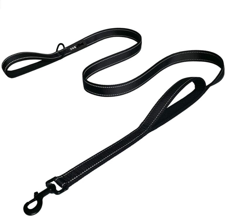 Dog Leash 6ft Long - Traffic Padded Two Handle - Heavy Duty - Double Handles Lead for Training Control - 2 Handle Nylon Leashes for Large Dogs or Medium Dogs - Reflective Leash Dual Handle (Black)