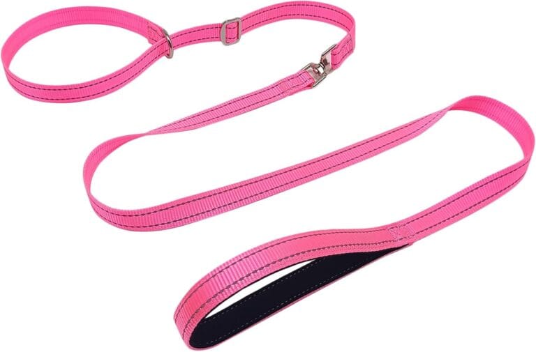 Slip Leash Dog Training Lead, Reflective Tangle-Free Adjustable No Pull Control Leash, 6 FT 3/4" Flat Wide Nylon with Padded Handle for Walking, Pink