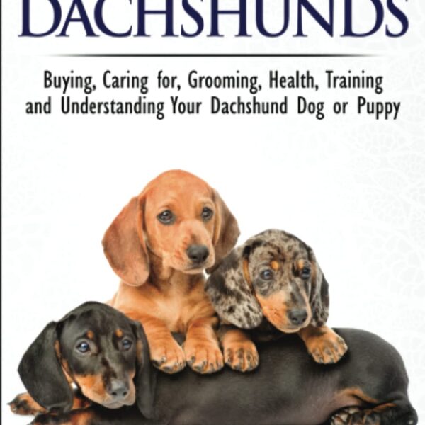 Dachshunds - The Owner's Guide from Puppy To Old Age - Choosing, Caring For, Grooming, Health, Training and Understanding Your Standard or Miniature Dachshund Dog