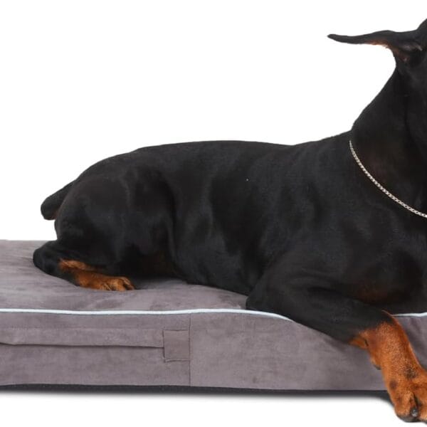 Laifug Orthopedic Memory Foam Pet(40"x 25"x 4",Slate Grey)/Dog Bed with Durable Waterproof Liner and Removable Washable Cover