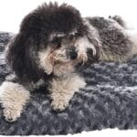 Amazon Basics Cat and Dog Bed and Crate Pad, Machine Washable, Indoor, 23 x 18 x 2.5 inches, Gray