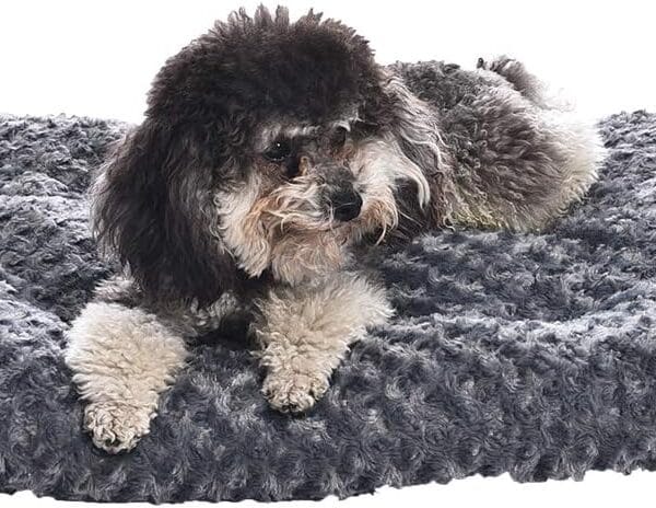 Amazon Basics Cat and Dog Bed and Crate Pad, Machine Washable, Indoor, 23 x 18 x 2.5 inches, Gray