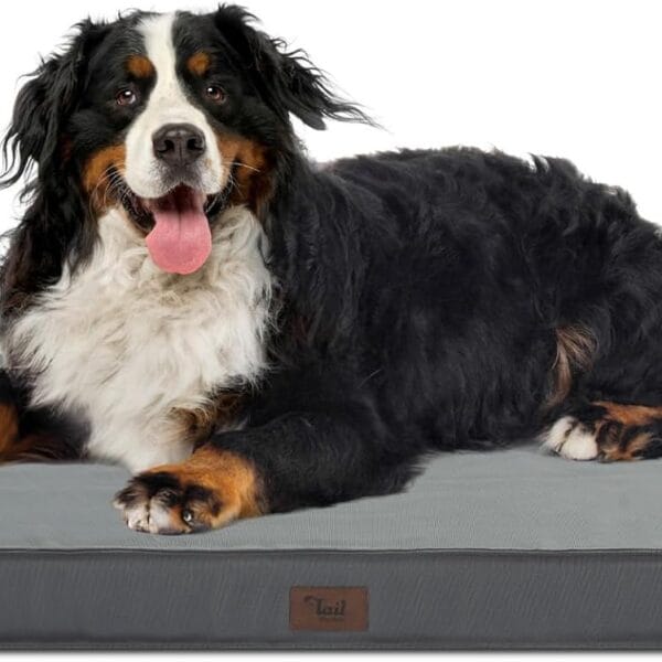 Outdoor Extra Large Dog Crate Bed, XXL Waterproof Dog Bed for Giant Breeds Dogs, 47x29 Inch Orthopedic Egg Crate Foam Pet Mat with Removable Cooling Cover, Grey