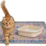 Lovewag Cat Litter Mat 2 Pack - Large 36x48 Machine Washable Easy Clean Non-Slip Waterproof Trapping Mats for Cats - (Marmalade Sunshine)
