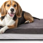 Laifug Orthopedic Memory Foam Extra Large Dog Bed with Pillow and Durable Water Proof Liner & Removable Washable Cover & Smart Design (Large (40"x25"x5.5"), Grey)