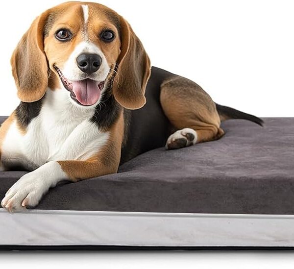 Laifug Orthopedic Memory Foam Extra Large Dog Bed with Pillow and Durable Water Proof Liner & Removable Washable Cover & Smart Design (Large (40"x25"x5.5"), Grey)