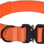 Tactical Dog Collar - Adjustable Military Training Soft Neoprene Padded Nylon Collar with Control Handle and Heavy Duty Metal Buckle for Medium and Large Dogs (L, Orange)