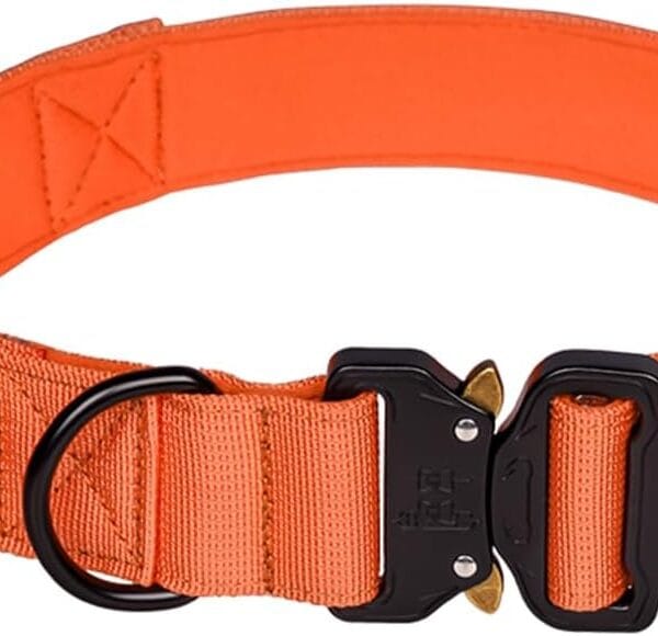 Tactical Dog Collar - Adjustable Military Training Soft Neoprene Padded Nylon Collar with Control Handle and Heavy Duty Metal Buckle for Medium and Large Dogs (L, Orange)