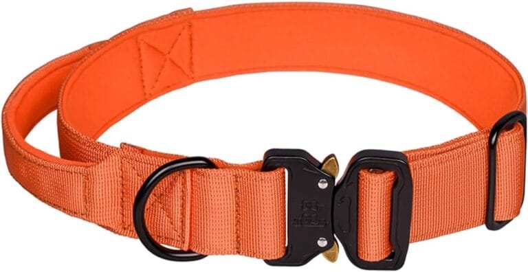 Tactical Dog Collar - Adjustable Military Training Soft Neoprene Padded Nylon Collar with Control Handle and Heavy Duty Metal Buckle for Medium and Large Dogs (L, Orange)