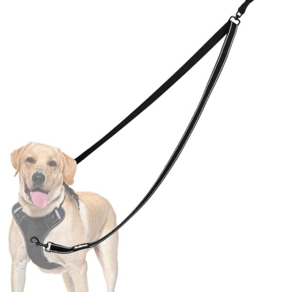 PetBonus Two Point Control Dog Leash, Works with No Pull Harnesses, No Tangle Training Leashes, Soft Padded and Reflective Walking Lead, Converts to Single Lead for Medium Large Dogs (Black)