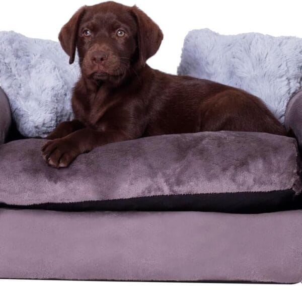 Moots Furry Pet Sofa Lounge, Charcoal, Small