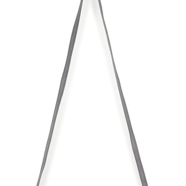 PetSafe Two Point Control Leash, Padded and Reflective Nylon, Converts to Single Leash, Works with 3in1 Harnesses, 3/4 in. Wide