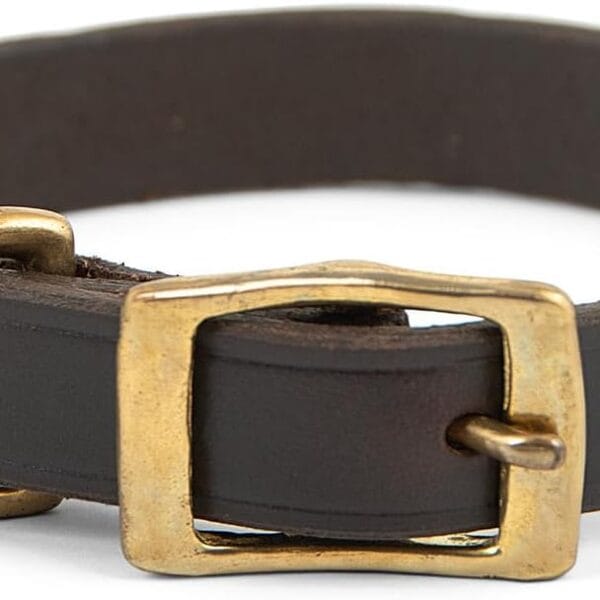 Jeffers Pet Flat Leather Dog Collar - Genuine Leather with Brass Hardware, Adjustable, Durable, Comfortable Fit for Small to Large Dogs, Training & Walking Collar, Chestnut Color, 1" x 19"