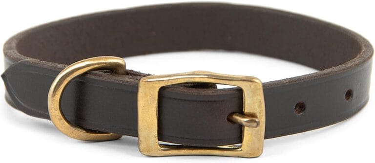 Jeffers Pet Flat Leather Dog Collar - Genuine Leather with Brass Hardware, Adjustable, Durable, Comfortable Fit for Small to Large Dogs, Training & Walking Collar, Chestnut Color, 1" x 19"