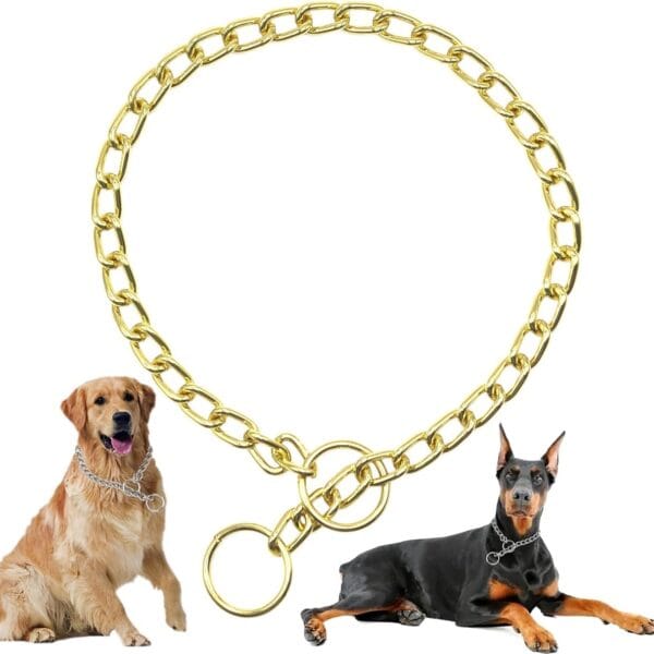 Gold Choker Collar for Medium Dogs Metal Slip Dog Chain Collars Heavy Duty Training Martingale Dog Collars for XXS XS Small Medium Large Breed Pets, S