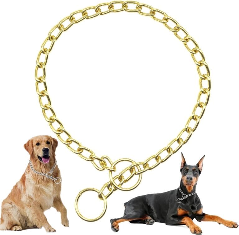 Gold Choker Collar for Medium Dogs Metal Slip Dog Chain Collars Heavy Duty Training Martingale Dog Collars for XXS XS Small Medium Large Breed Pets, S