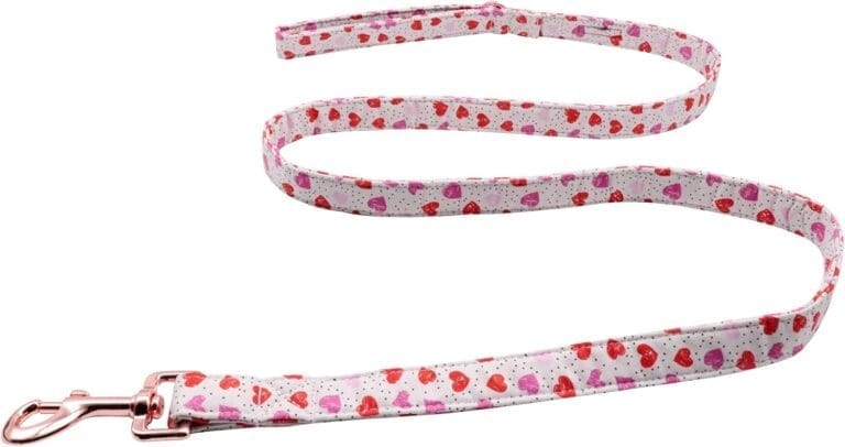 Lionet Paws Valentine's Day Dog Leash & Collar Set - Matching, Adjustable for Small to Large Dogs