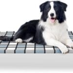 Elevated Outdoor Raised Dog Bed Outdoor Dogs Bed Lifted Pet Bed Dog Cot for Medium Pet Taste Life, Start with A Pet Bed 34'' x 26'' x 6.5''