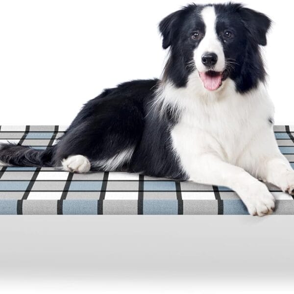Elevated Outdoor Raised Dog Bed Outdoor Dogs Bed Lifted Pet Bed Dog Cot for Medium Pet Taste Life, Start with A Pet Bed 34'' x 26'' x 6.5''