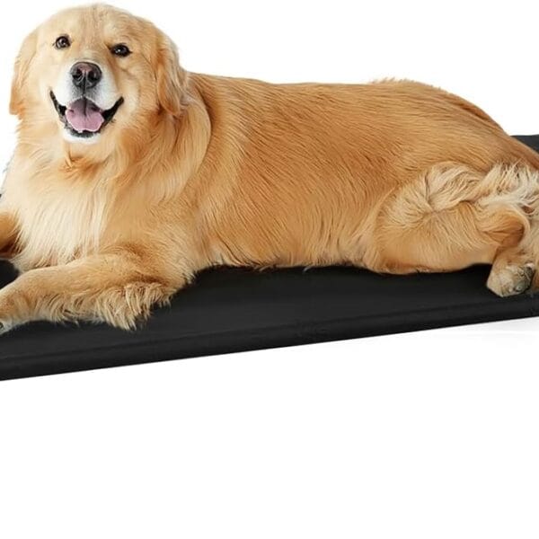 Outdoor Elevated Dog Bed, Cooling Breathable Raised Dogs Cot Beds for Large Dogs, Outside Portable Pet Hammock, Black Metal Frame, Skid-Resistant Feet, Easy Clean, Indoor Outdoor Use,51.131.57.4 in