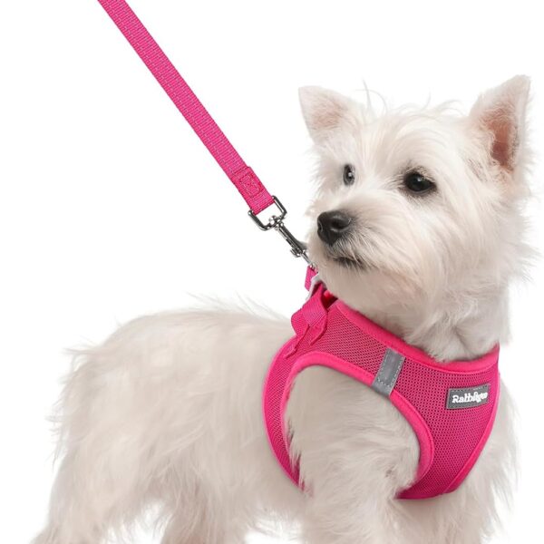 rabbitgoo Dog Harness Small Sized and Leash Set, Step in Soft Light Puppy Vest, Breathable Mesh Pet Harness, Reflective for Safe Easy Walking, Rose Red S
