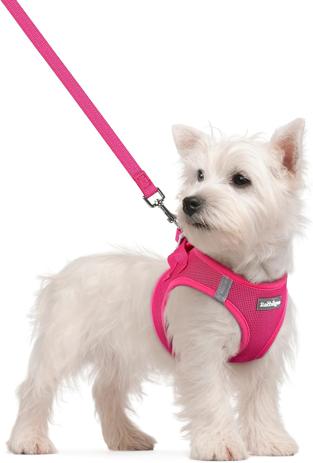 rabbitgoo Dog Harness Small Sized and Leash Set, Step in Soft Light Puppy Vest, Breathable Mesh Pet Harness, Reflective for Safe Easy Walking, Rose Red S rabbitgoo Dog Harness Small Sized and Leash Set, Step in Soft Light Puppy Vest, Breathable Mesh Pet Harness, Reflective for Safe Easy Walking, Rose Red S