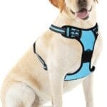 Blue No-Pull Dog Harness with 2 Leash ClipsSoft Padded Vest for Large Dog, Adjustable Reflective Dog Vest Easy to Put on and Take Off, (Neck: 17"~24", Chest: 24"~32",Blue L)