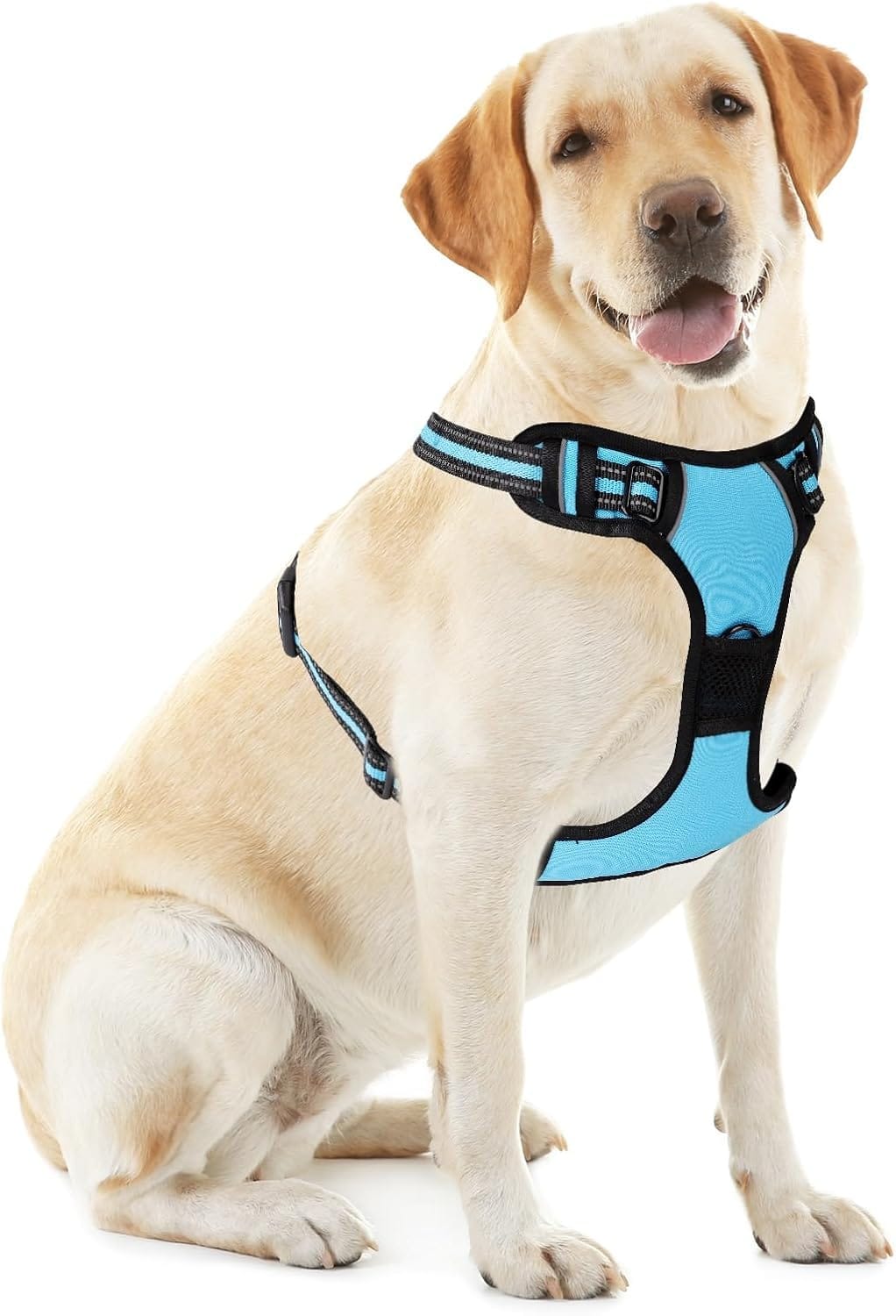 Blue No-Pull Dog Harness with 2 Leash ClipsSoft Padded Vest for Large Dog, Adjustable Reflective Dog Vest Easy to Put on and Take Off, (Neck: 17"~24", Chest: 24"~32",Blue L) Blue No-Pull Dog Harness with 2 Leash ClipsSoft Padded Vest for Large Dog, Adjustable Reflective Dog Vest Easy to Put on and Take Off, (Neck: 17"~24", Chest: 24"~32",Blue L)