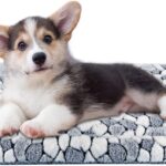 VANKEAN Dog Crate Pad Bed Mat Reversible (Cool & Warm), Sleeping Mat Dog Bed for Crate for Small Dogs and Cats, Machine Washable Crate Beds, Grey