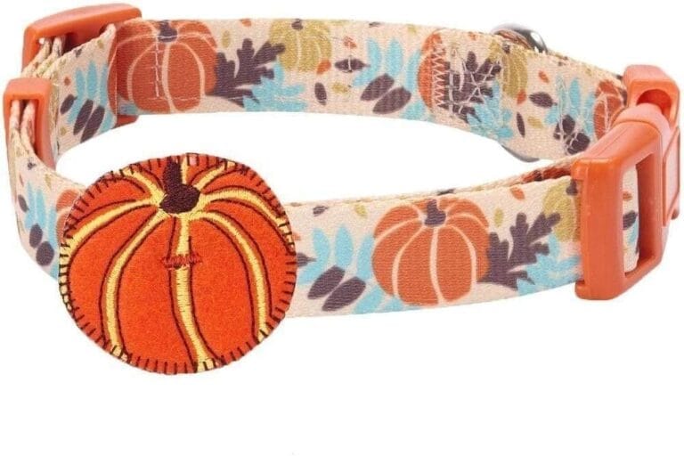 Blueberry Pet 8 Patterns Thanksgiving Fall Harvest Festival Pumpkin Designer Adjustable Dog Collar with Decoration, Large, Neck 18"-26"