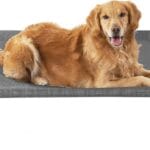 EHEYCIGA Elevated XL Dog Cot Bed, Raised Outdoor Dog Hammock for Extra Large XLarge Dogs, Lifted Pet Platform with Frame and Washable Waterproof Cooling Teslin Mesh and Anti-Slip Feet, 48x32 inch