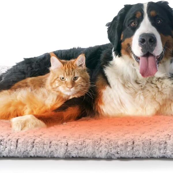 Self Warming Cat Bed 37 x 25.6 in - Beds for Indoor Outdoor Cats and Dogs, Machine Washable Cat Heating Pad, 2 in Thickened Pet Heating Pad for Cats & Dogs, Double Side Premium Soft