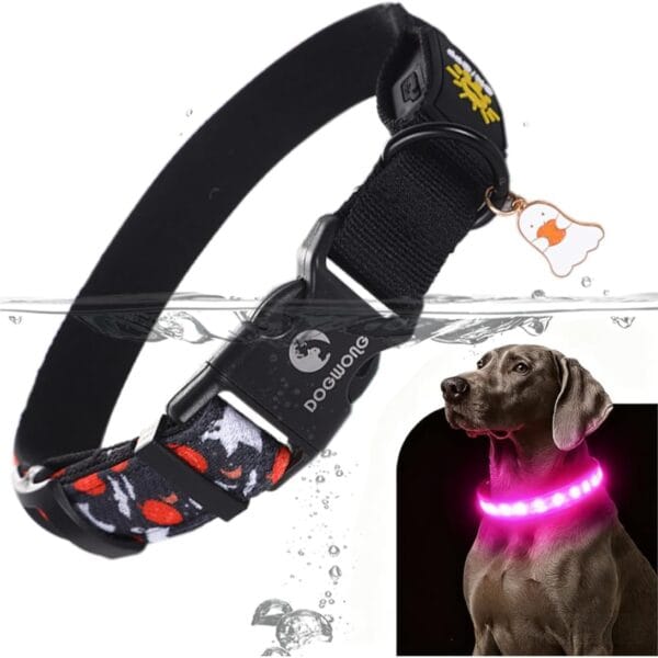 DOGWONG LED Dog Collar - Halloween Light up Dog Collars - Rechargeable Waterproof - Fall Lighted Dog Collars for Night Walking, Hiking, Camping