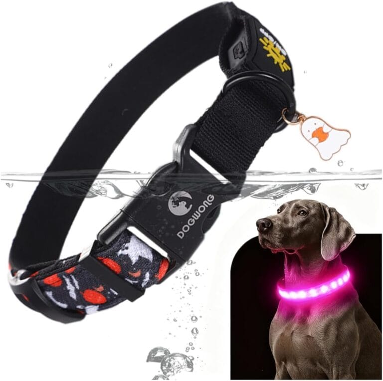 DOGWONG LED Dog Collar - Halloween Light up Dog Collars - Rechargeable Waterproof - Fall Lighted Dog Collars for Night Walking, Hiking, Camping